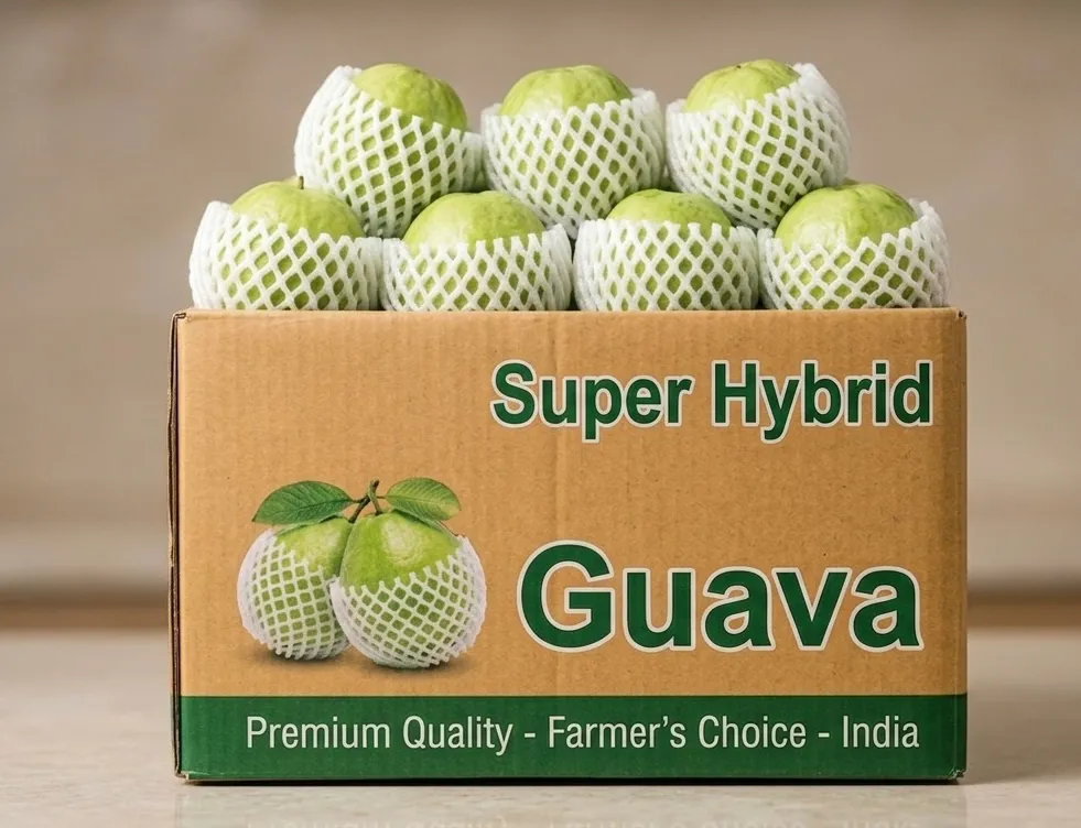 Guava