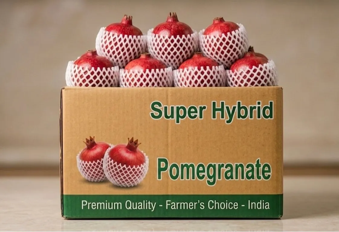 POMEGRANATE 